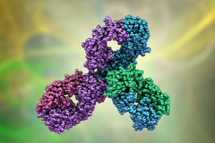 Molecular model of pembrolizumab