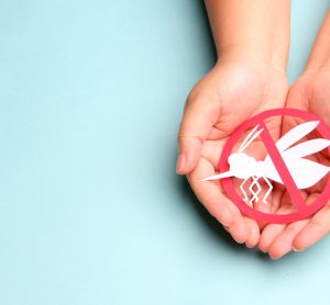 Child holding paper mosquito in hands with red stop sign for world malaria day