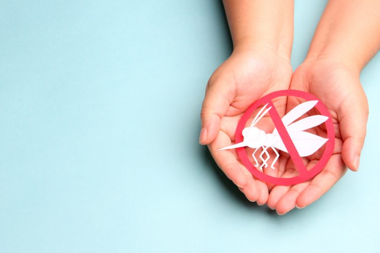 Child holding paper mosquito in hands with red stop sign for world malaria day