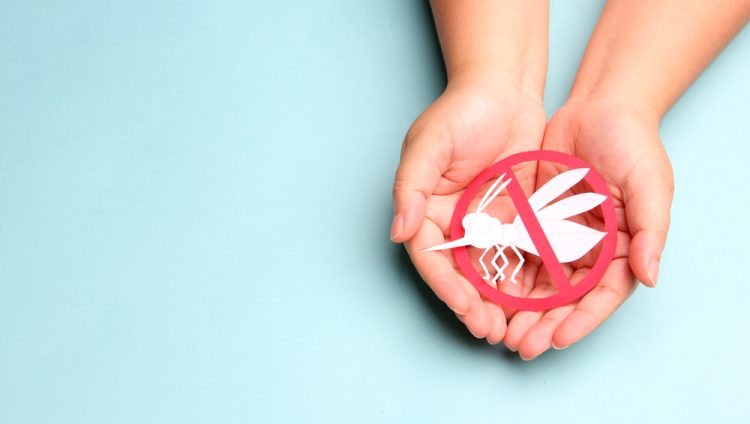 Child holding paper mosquito in hands with red stop sign for world malaria day