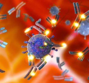 analytical methods monoclonal antibodies (mAbs)