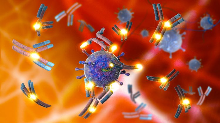 analytical methods monoclonal antibodies (mAbs)