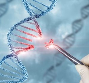 CHMP issues positive option for first gene-editing medicine