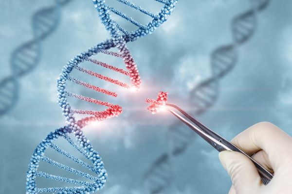 CHMP issues positive option for first gene-editing medicine