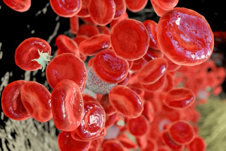 3D illustration showing abundant erythrocytes inside blood vessel