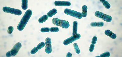 EMBLAVEO Gram-negative bacteria