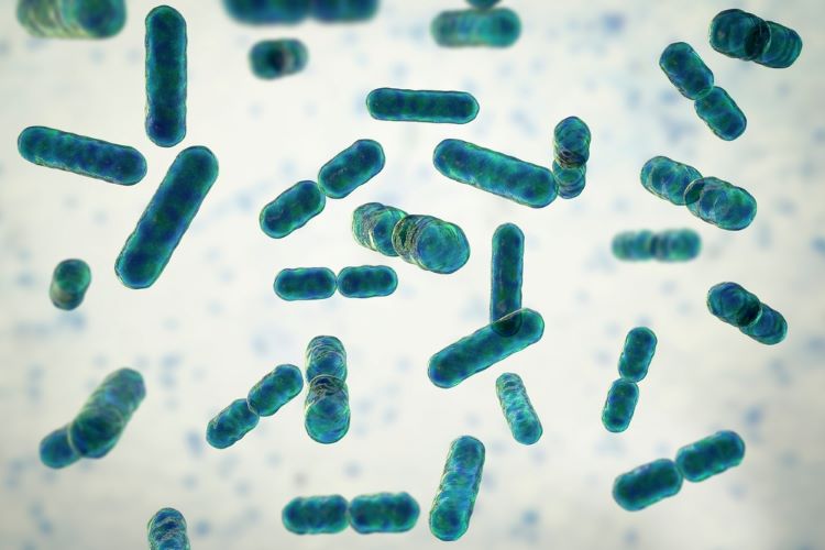 EMBLAVEO Gram-negative bacteria