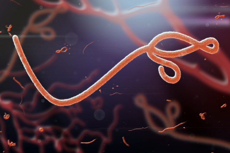 Microscopic view of ebola virus