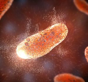 Janus nanoparticles antibiotics