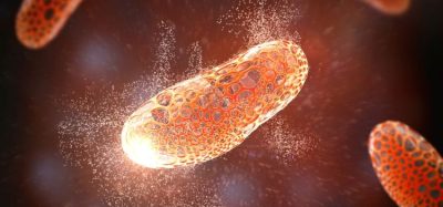 Janus nanoparticles antibiotics