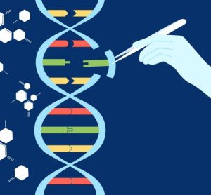 First CRISPR-based gene-editing therapy authorised by MHRA