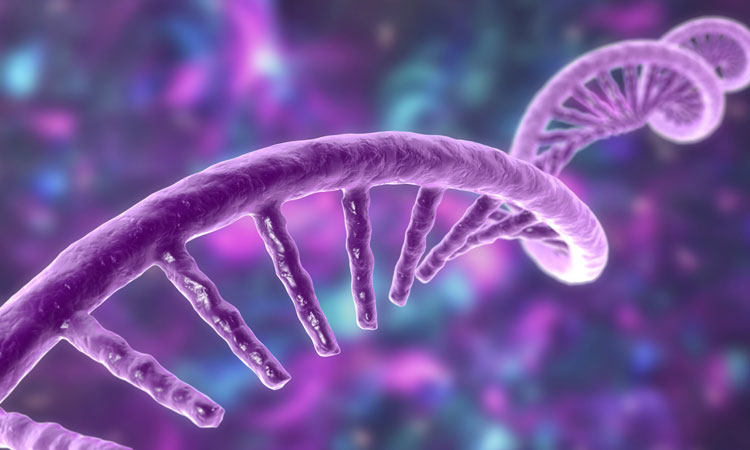DNA image for RNA therapeutics manufacturing article