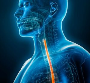 Dupixent eosinophilic esophagitis