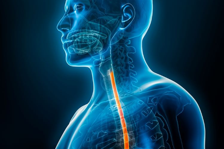 Dupixent eosinophilic esophagitis