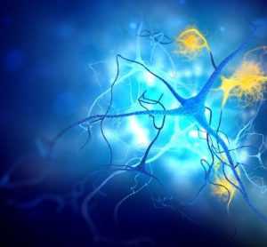 Alzheimer's active immunotherapy