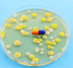 AMR biotech
