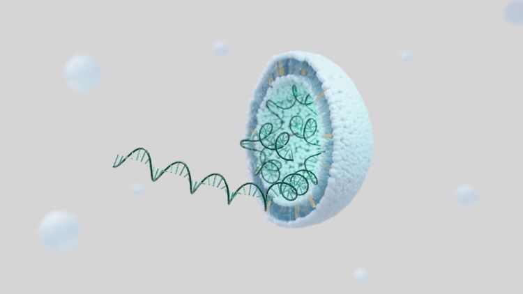 mRNA cancer vaccine