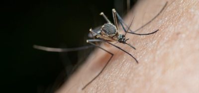 First chikungunya vaccine approved - chikungunya vaccine US FDA approval