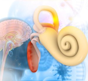 Gene therapy deafness