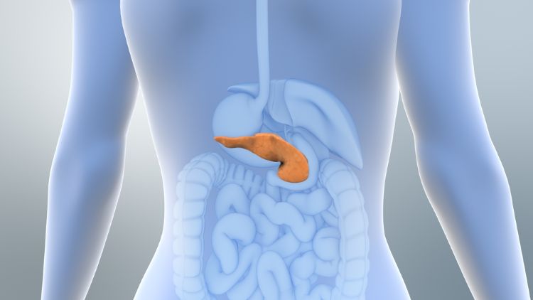 European Commission diabetes Teizeild