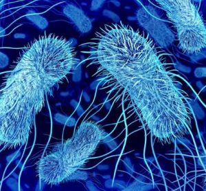 microbial cell productivity biomanufacturing