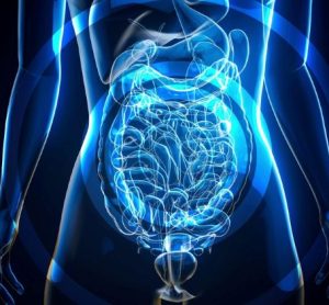 FMT immunotherapy advanced cancer