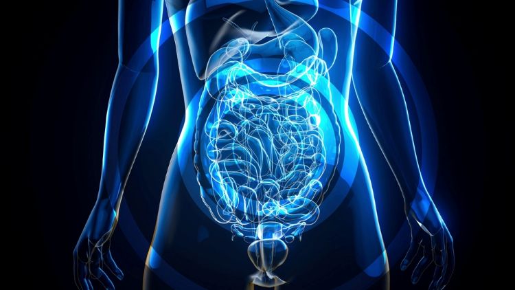 FMT immunotherapy advanced cancer