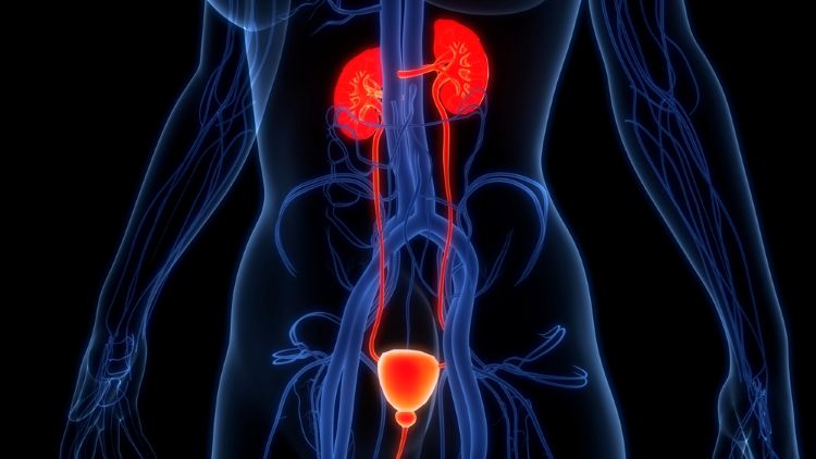 CHMP recommends cancer medicines by SFL Pharmaceuticals and Serum Life Science Europe