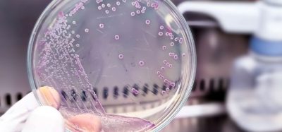 e. coli orsellinic acid