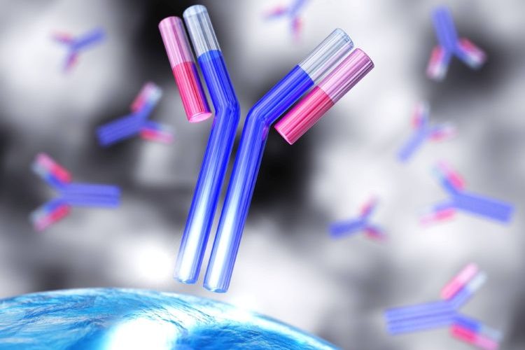 Novartis chromatography downstream purification