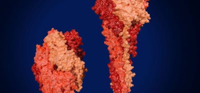 Sanofi RSV Beyfortus