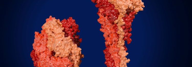 Sanofi RSV Beyfortus