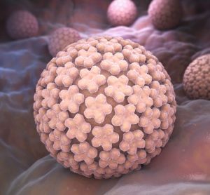 HPV