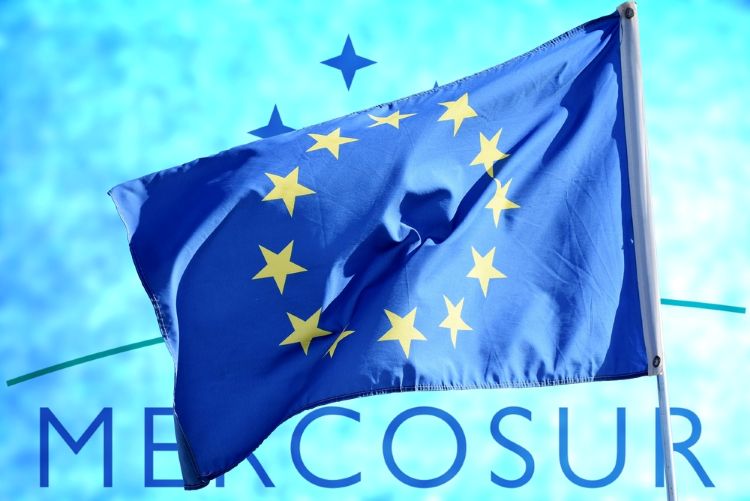 EU concludes major free trade agreement with Mercosur countries