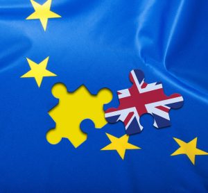 Brexit - missing puzzle piece