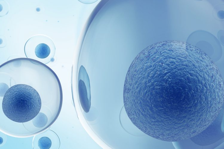 Blue stem cells