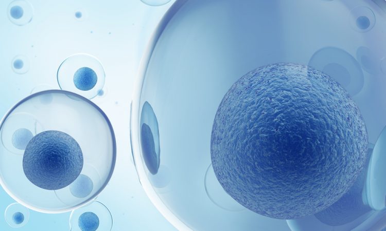 Blue stem cells