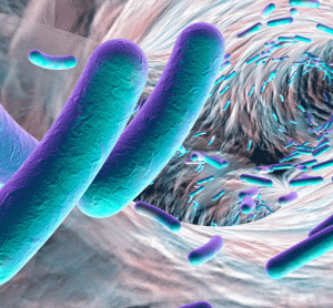 Bacteria and biofilm