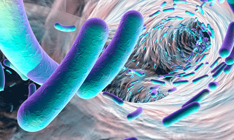 Bacteria and biofilm