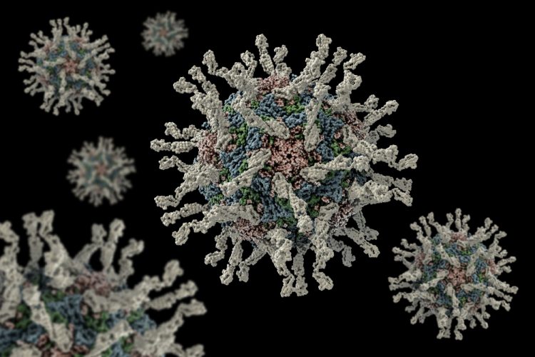 Poliovirus