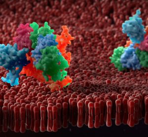 LiP-mass spectrometric