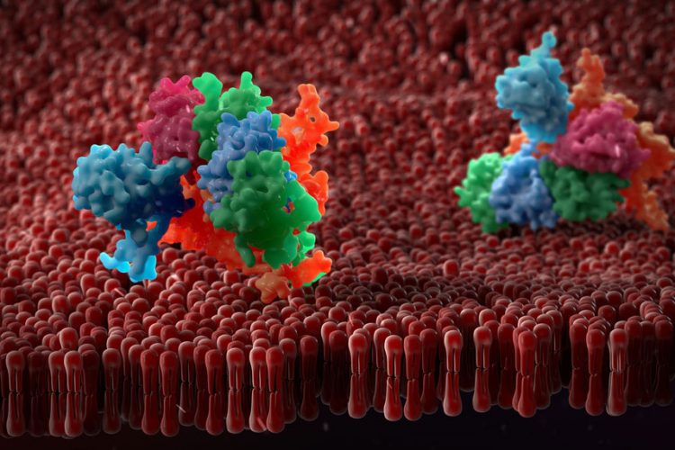 LiP-mass spectrometric