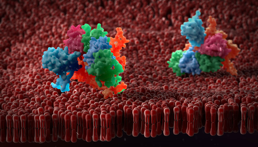 LiP-mass spectrometric