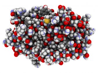 Interleukin-6