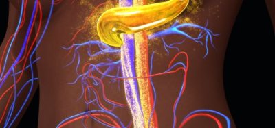 Sana Biotechnology type 1 diabetes