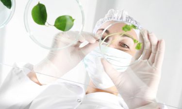 Scientist looking at plants in petri dish