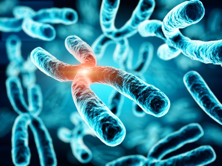 Boehringer Ingelheim Tessellate Bio