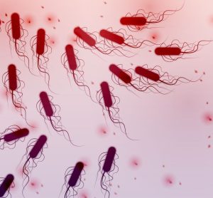 detection of e. coli bacteria