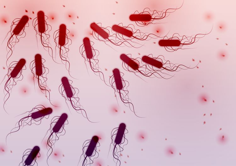 detection of e. coli bacteria