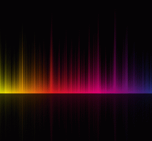 solid state NMR spectroscopy